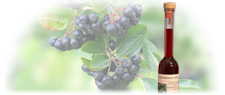Aroniabeeren Likör