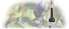 Heidelbeeren Likör