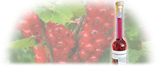 Roter Johannisbeeren Likör
