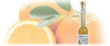 Orangen Likör